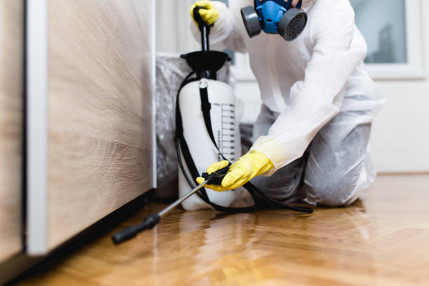 Best Exterminator Services  in Berly, MO