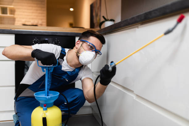 Best Pest Inspection Near Me  in Berly, MO