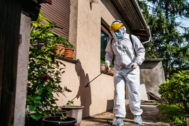 Best Local Pest Control Services  in Berly, MO