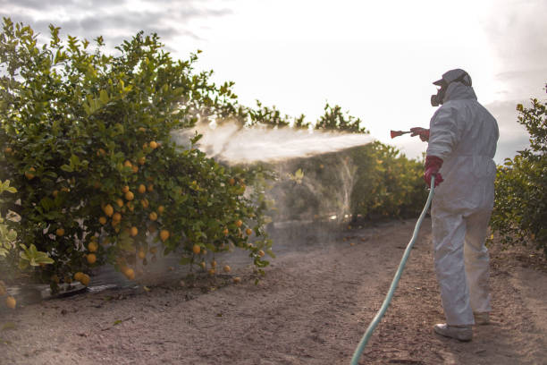 Best Pest Prevention Services  in Berly, MO