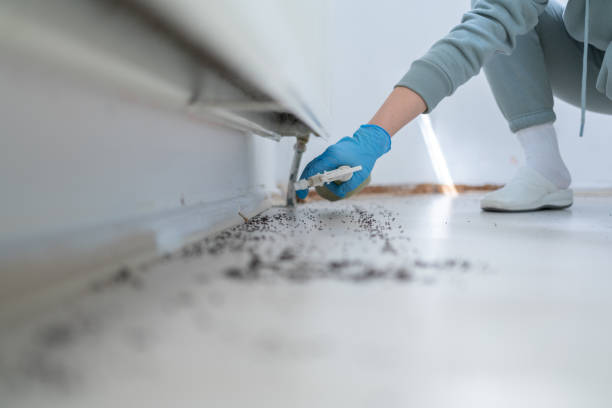 Best Bed Bug Extermination  in Berly, MO