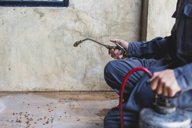 Best Pest Prevention Services  in Berly, MO