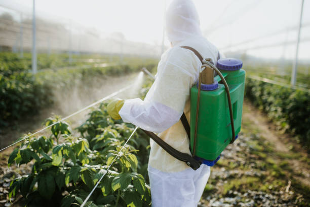 Best Cockroach Control Services  in Berly, MO